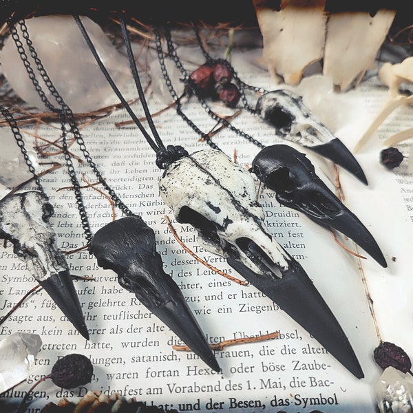 Black raven necklace // raven skull, crow skull, bird skull, witch necklace, witch jewelry, gothic necklace, gothic jewelry, magic, occult