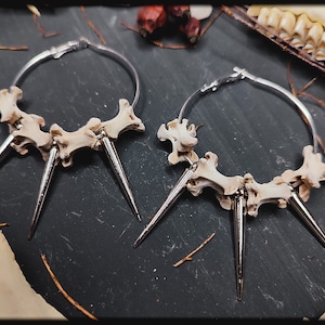 Könnte beinhalten: Ein Paar silberne Creolen mit jeweils drei knochenartigen Spikes. Die Spikes sind aus Knochen und haben eine natürliche weiße Farbe. Die Creolen sind silberfarben und haben eine glatte Oberfläche.