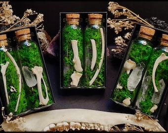 Curiosities Mystery Box // Glass vials with Norwegian moss, bones, teeth, crystals, taxidermy decoration, vulture culture, oddity