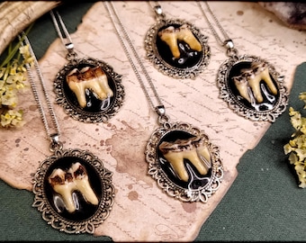 Zahn Halskette // Knochen Halskette, Knochen Anhänger, Hexen Halskette, Hexen Schmuck,  Naturschmuck, Zahn Schmuck, Gothic Halskette, Hexe