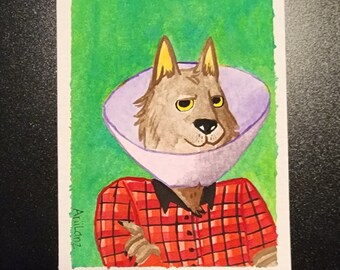 Werewolf with the cone of shame