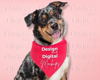 Mockup di bandana per cani / Mockup di bandana per cani di San Valentino / Mockup di bandana per cani rossi / Mockup di cane / Mockup di bandana per cani triangolari / Pastore australiano
