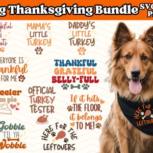 Thanksgiving Hundehalstuch Bundle | Truthahn Tag SVG | Urlaub Hund SVG | Hundehalstücher Designs jpg | Lustige niedliche Hundehalstuch Dateien schneiden PNG
