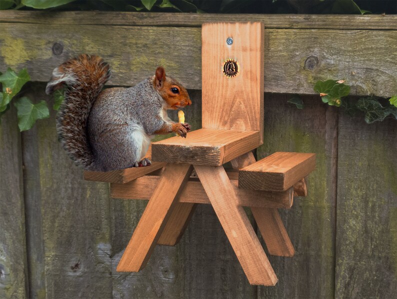 Squirrel picnic table kesiltricks