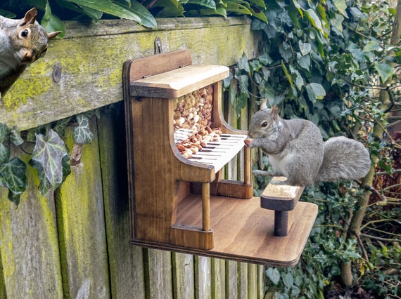 Squirrel Feeder Piano Etsy Osterreich