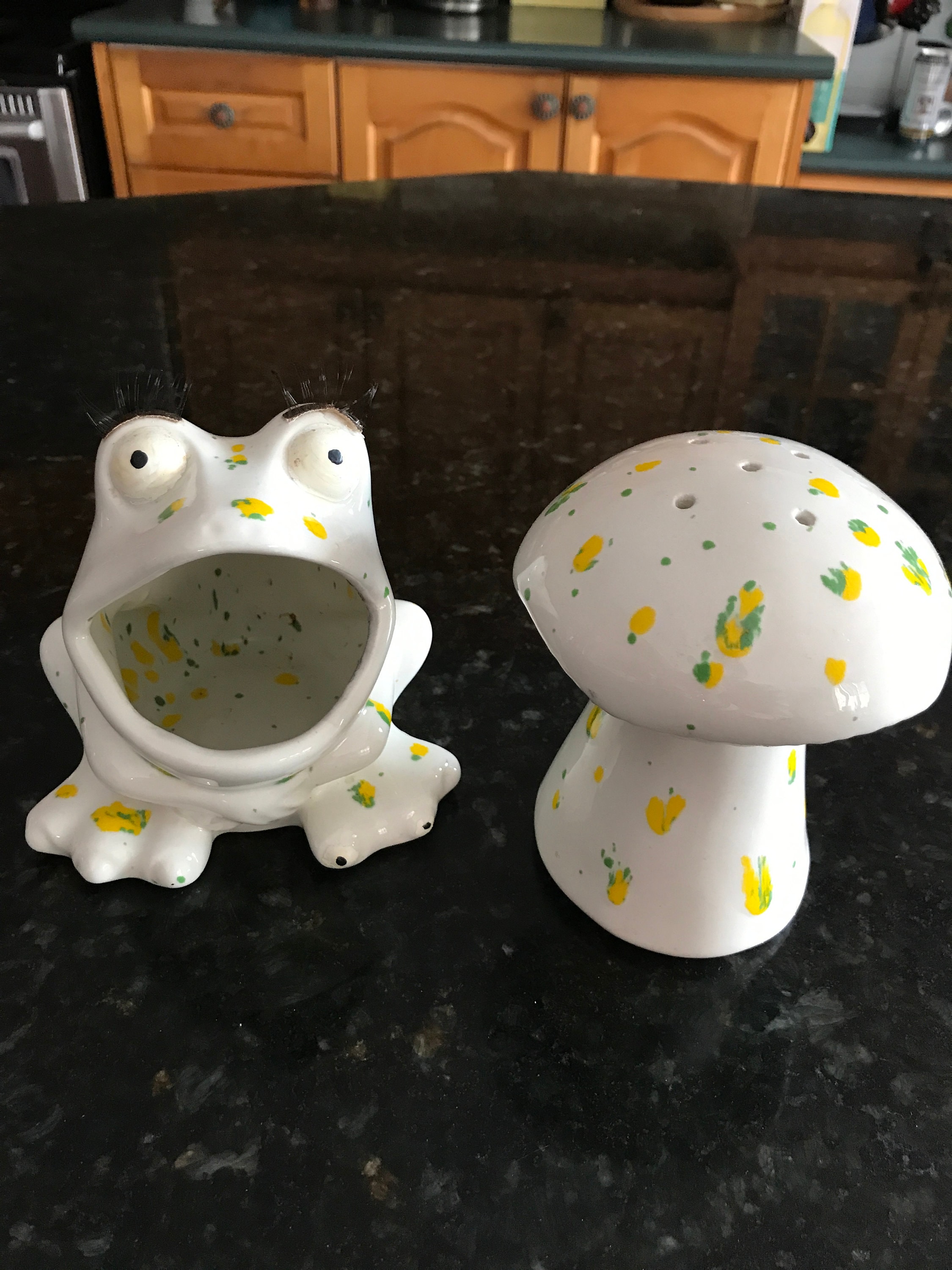 PEHOST Ceramic Kitchen Scrubby Sponge Holder Art Frog Collection Adorable Home & Kitchen Decor