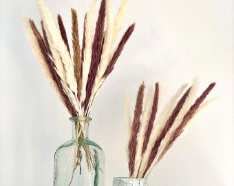15pz White & 15pz Natural 17" Dried Pampas Grass | Rustic Boho Home Decor