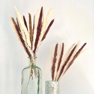 May include: Two glass vases with dried pampas grass in shades of white, brown, and purple. The taller vase is clear glass and the shorter vase is iridescent.
