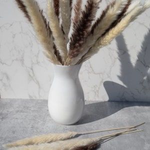 May include: A white ceramic vase filled with a bouquet of dried pampas grass. The bouquet features a mix of cream and brown pampas grass plumes. Three additional pampas grass stems are lying on a gray surface.