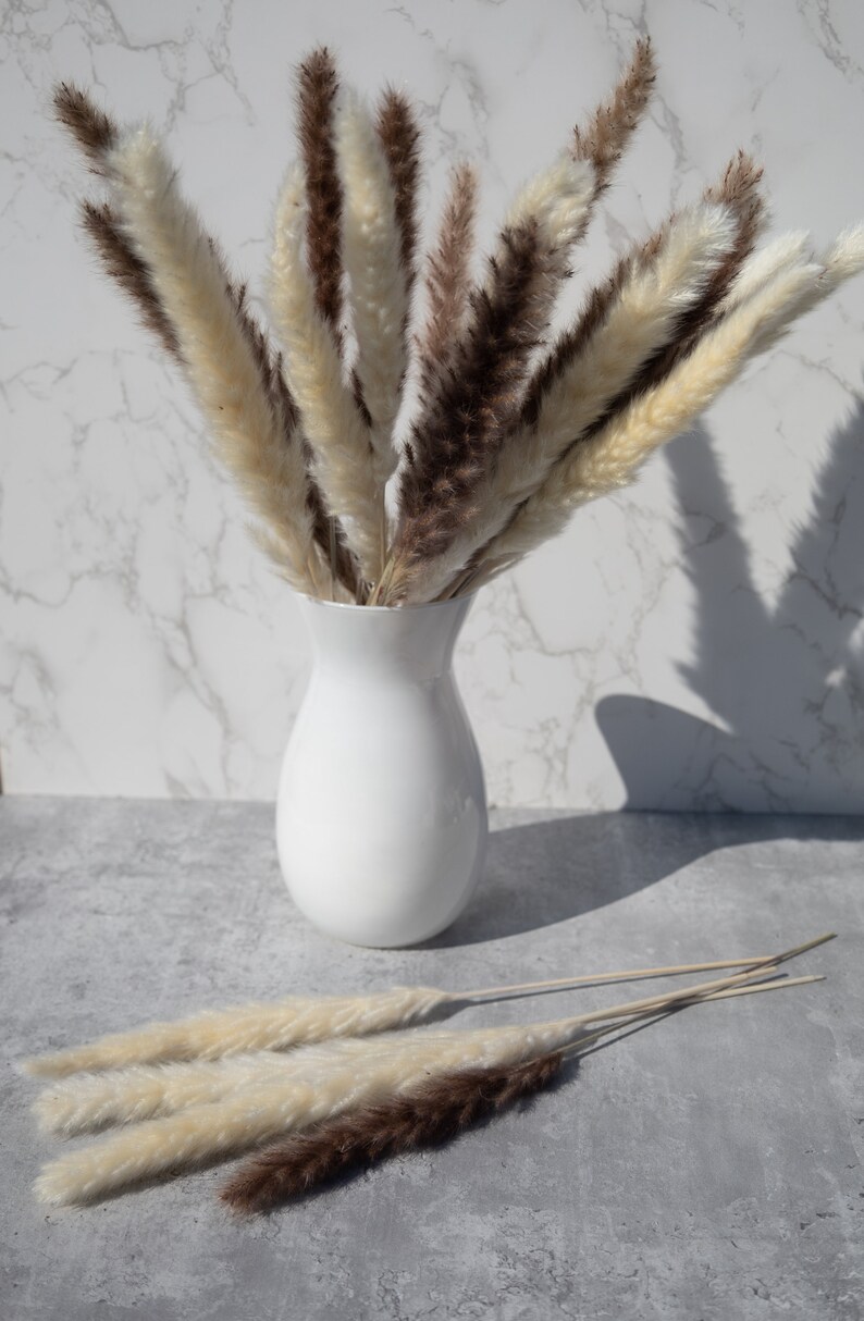 May include: A white ceramic vase filled with a bouquet of dried pampas grass. The bouquet features a mix of cream and brown pampas grass plumes. Three additional pampas grass stems are lying on a gray surface.