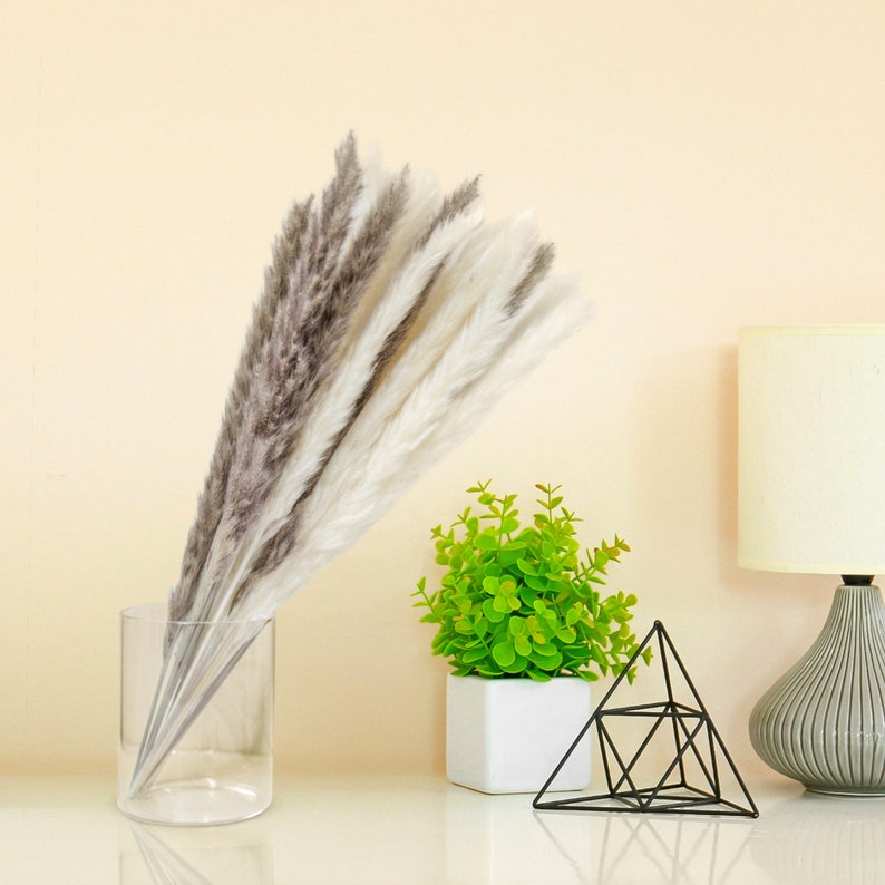 May include: A clear glass vase filled with dried pampas grass in shades of white and gray. The vase is sitting on a white surface next to a small potted plant with green leaves and a black geometric metal sculpture.
