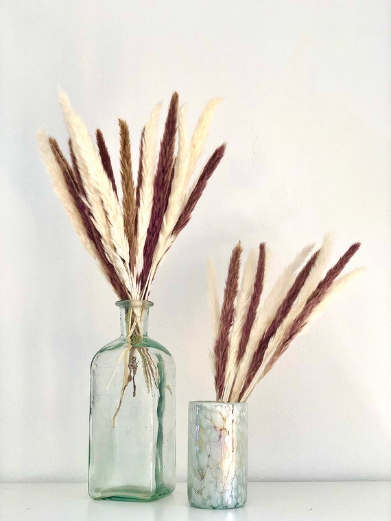 15pz White & 15pz Natural 17" Dried Pampas Grass | Rustic Boho Home Decor