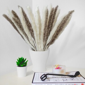 May include: A bouquet of dried pampas grass in a white ceramic vase. The vase is sitting on a table with a small green succulent plant in a white pot and a book with the text "Daniel H. Pink To Sell is Human" visible.