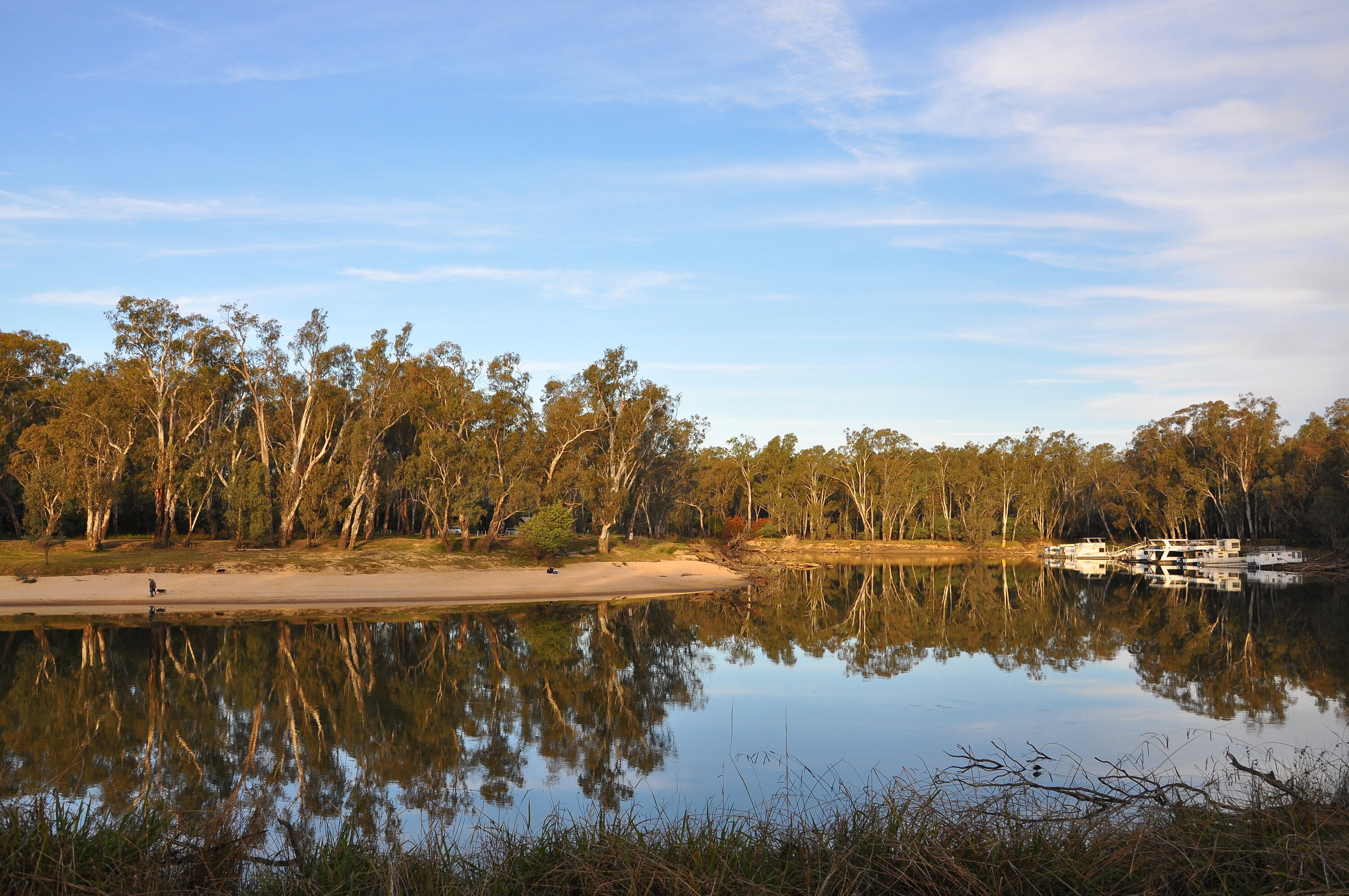 Murray River at Cobram/barooga Digital Download Photography Etsy