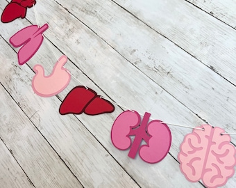 Surgical Tech Decorations