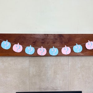 May include: A gender reveal banner with alternating blue and pink pumpkins with question marks on them.