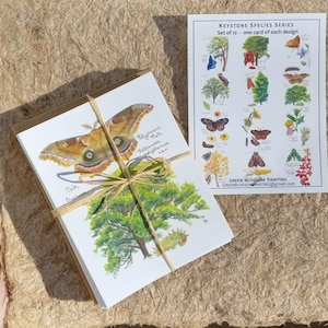 12 Keystone Species cards (all different) with lepidoptera pairings by Doug Tallamy, paintings and design by Daisy Hebb