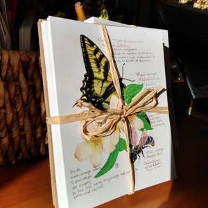 12 different Native Plants & Pollinators Watercolor Cards – each with recycled envelopes