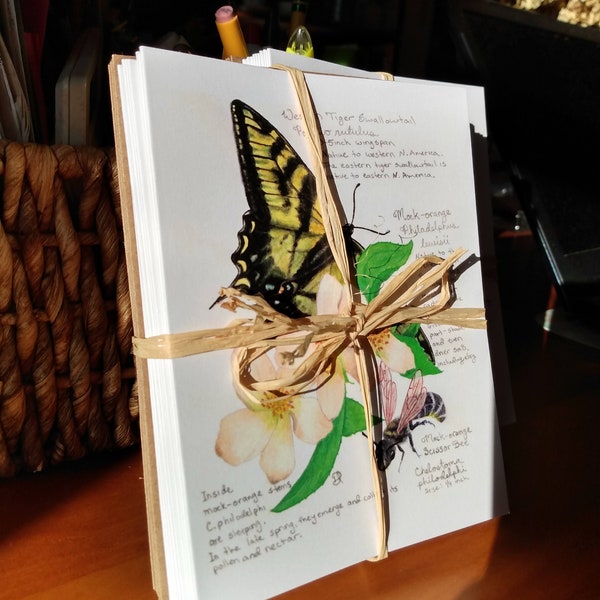 12 different Native Plants & Pollinators Watercolor Cards – each with recycled envelopes