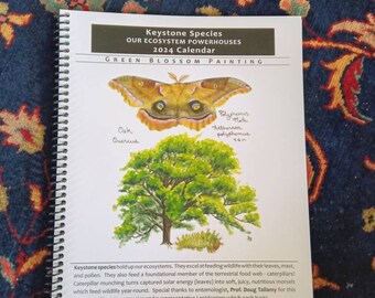 2024 Calendar: Keystone Species, a Doug Tallamy collaboration - monthly planner, gift, native species, butterflies, caterpillars, moths