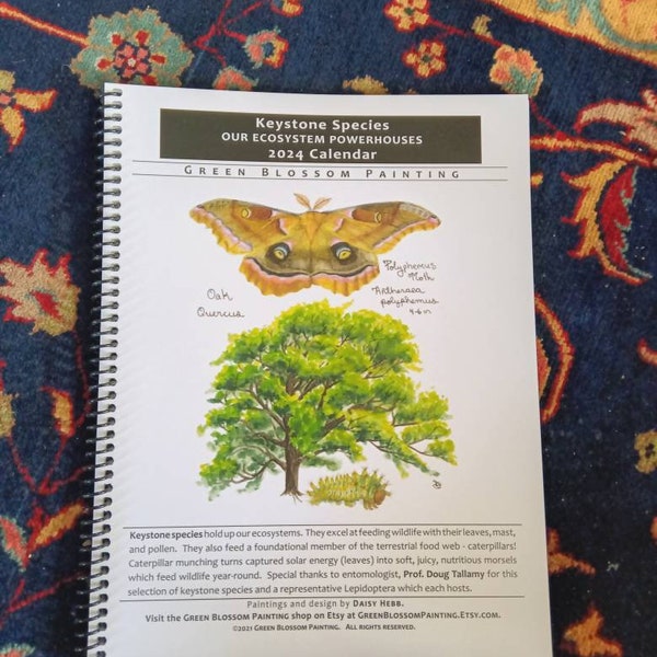 2024 Calendar: Keystone Species, a Doug Tallamy collaboration - monthly planner, gift, native species, butterflies, caterpillars, moths