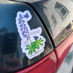 May include: A sticker featuring a watercolour illustration of a lupine flower and a Karner blue butterfly. The sticker has the text "Lupinus perennis/sundial lupine" and "Plebejus melissa samuelis/Karner blue butterfly" and the copyright "GREEN BLOSSOM PAINTING".
