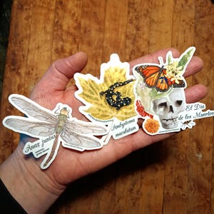 May include: A white ceramic mug with a black handle and the text "But First, Coffee" in a black, bold font. The mug is sitting on a wooden surface. The mug is approximately 4 inches tall.