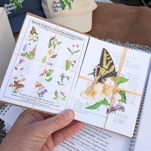 May include: A set of 12 greeting cards titled Native Plants & Their Pollinators Series, featuring botanical illustrations of butterflies, bees, and flowers. The cards are tied with twine and include handwritten scientific notes and artist information.