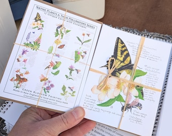 12 different Native Plants & Pollinators Watercolor Cards – each with recycled envelopes