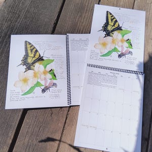 May include: A spiral-bound calendar featuring illustrations of a yellow and black butterfly, white flowers, and a bee. The calendar is open to several months, with blank calendar pages and detailed artwork on the top pages. The artwork is set against a wooden background.