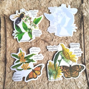 STICKERS Pollinators & Specialist Bees and Butterflies, approx 4-5 inches