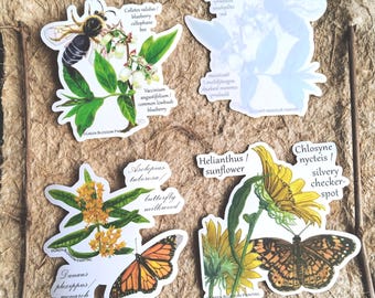 STICKERS Pollinators & Specialist Bees and Butterflies, approx 4-5 inches