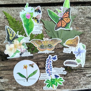May include: A set of 10 illustrated stickers featuring various plants, insects, and butterflies. The stickers are printed on white paper with a glossy finish. The stickers are perfect for adding a touch of nature to your journals, laptops, water bottles, and more.