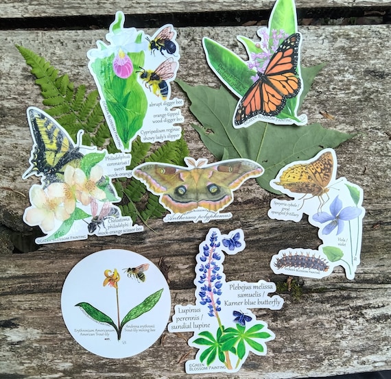 Native Plant & Insect Watercolor Stickers: Lupine, Monarch, Violet