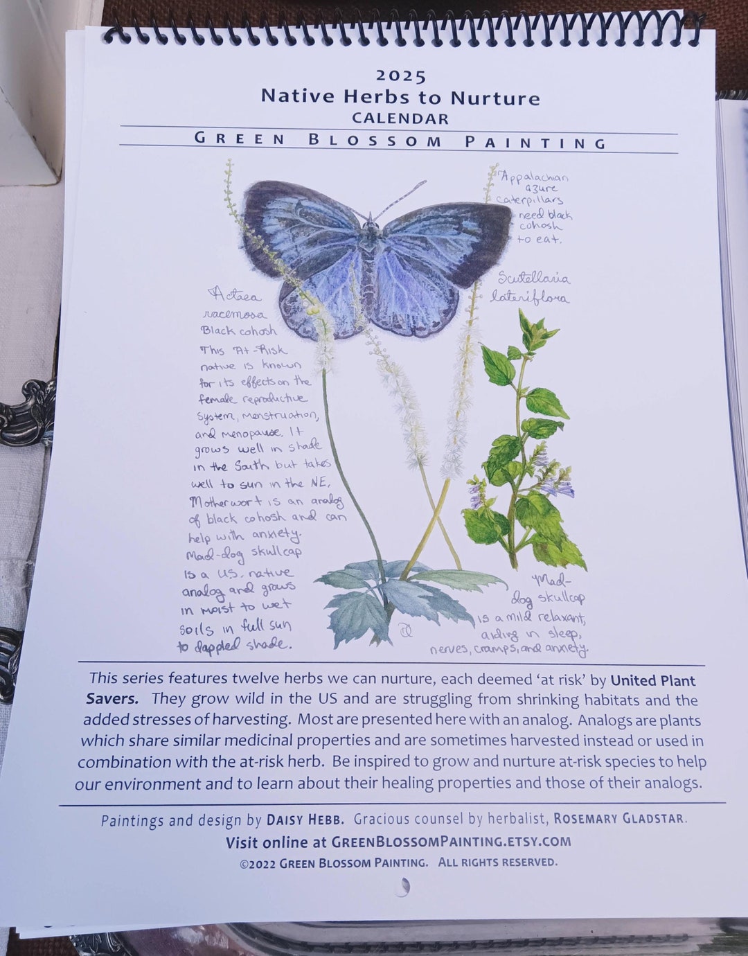 2025 Calendar/monthly Planner: Native Herbs to Nurture Series, by Daisy