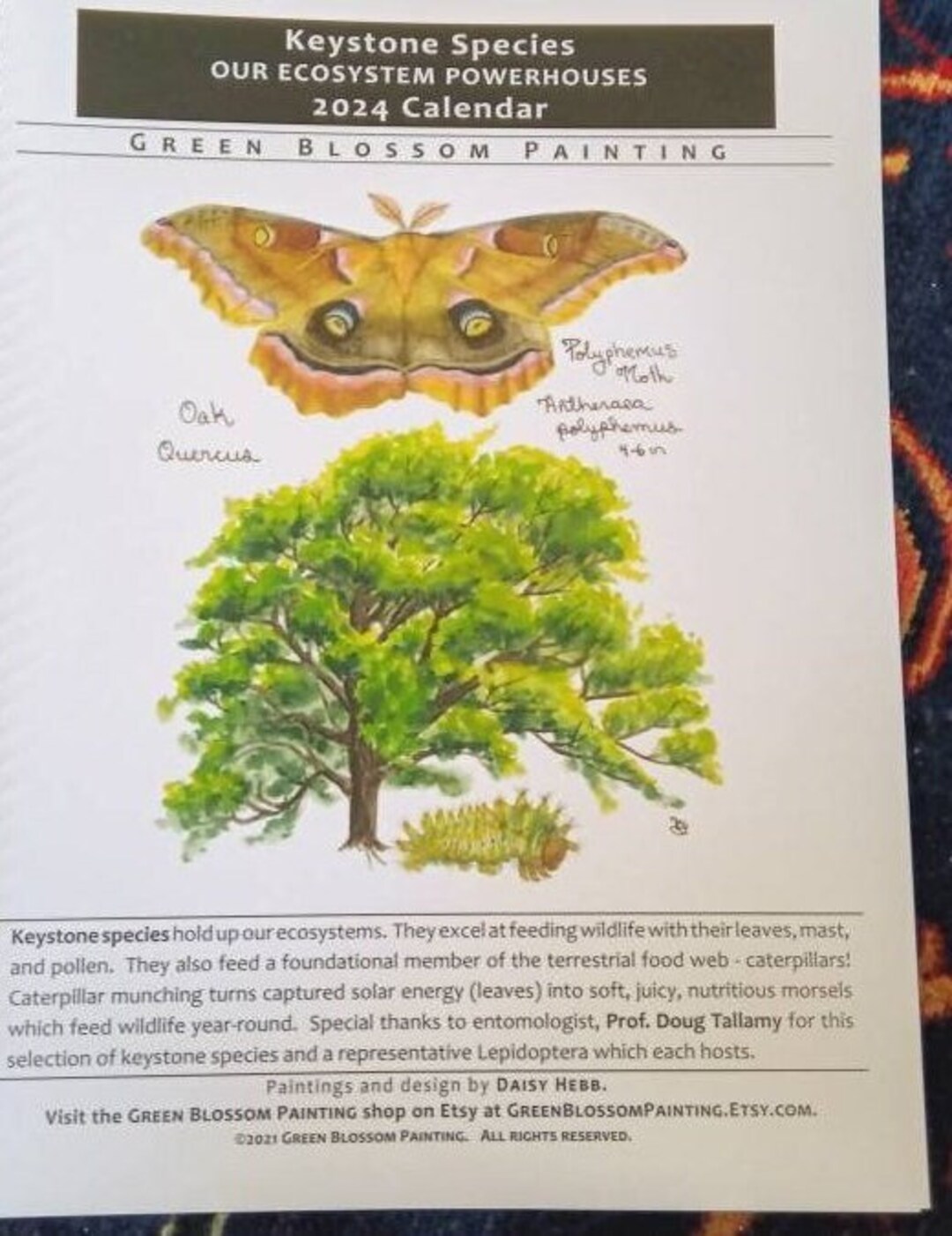 2024 Wall Calendar Keystone Species, a Doug Tallamy Collaboration