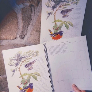 May include: A spiral-bound calendar open to January 2025, featuring botanical illustrations of birds and plants. The artwork includes a colorful bird with orange, black, and yellow plumage. The calendar pages are white with a grid layout for each day.