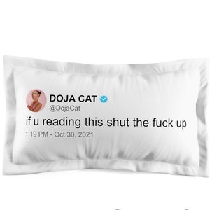 Doja Cat &#39;If u reading this&#39; pillow cover