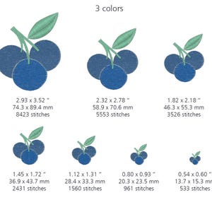 7 sizes blueberries embroidery files Custom Design pes hus jef