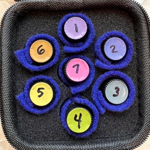 May include: A black zippered case holding seven small bottles, each with a numbered label. The labels are in various colours, including purple, pink, yellow, and blue. Each bottle is encircled by a blue felt ring.