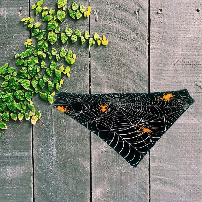 Op de afbeelding: Zwarte driehoekige bandana voor huisdieren met een wit spinnenwebontwerp en oranje spinnen. De bandana is geplaatst tegen een verweerde grijze houten achtergrond met groen gebladerte.