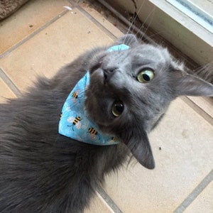 Bees, Bee, Honey Bees, Bandana, Bee Kind, Bumble Bee, Save the Bees, Dog, Cat, Insect, Buzz
