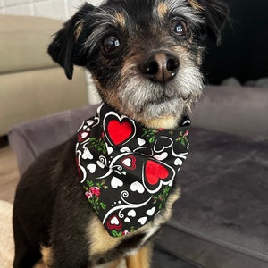 Valentines Day, Valentine, Bandana, Happy, Red Hearts, Heart, Love, Pretty, Colorful