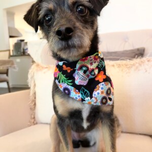 Sugar Skull, Day of the Dead,Bandana, Colorful, Skulls, Festive, Mexican, Bright, Holiday