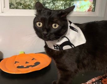 Halloween, Black Cat, Halloween Dog Bandana, Halloween Cat Bandana, Halloween Bandana, Glow in the dark, Pet Halloween, Black Cat Bandana