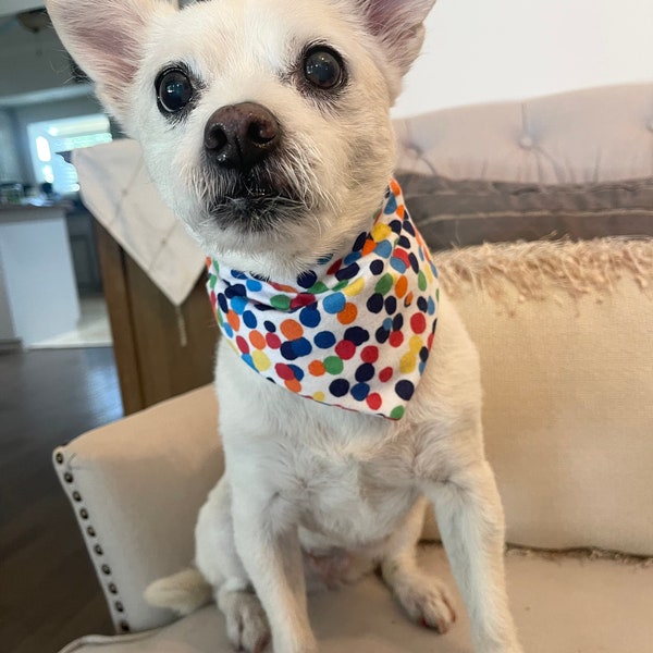 Colorful Dots, Polka Dots, Happy Birthday, Dots, Fun, Rainbow, Playful, Cheerful, Multicolored, Dotted, Bright, Spotted, Bandana, Dog