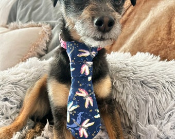 Dragonfly, Dog, Necktie, Cat, Ethereal, Enchanting, Acrobatic, Swift, Delicate, Colorful, Majestic, Elegant, Agile, Graceful