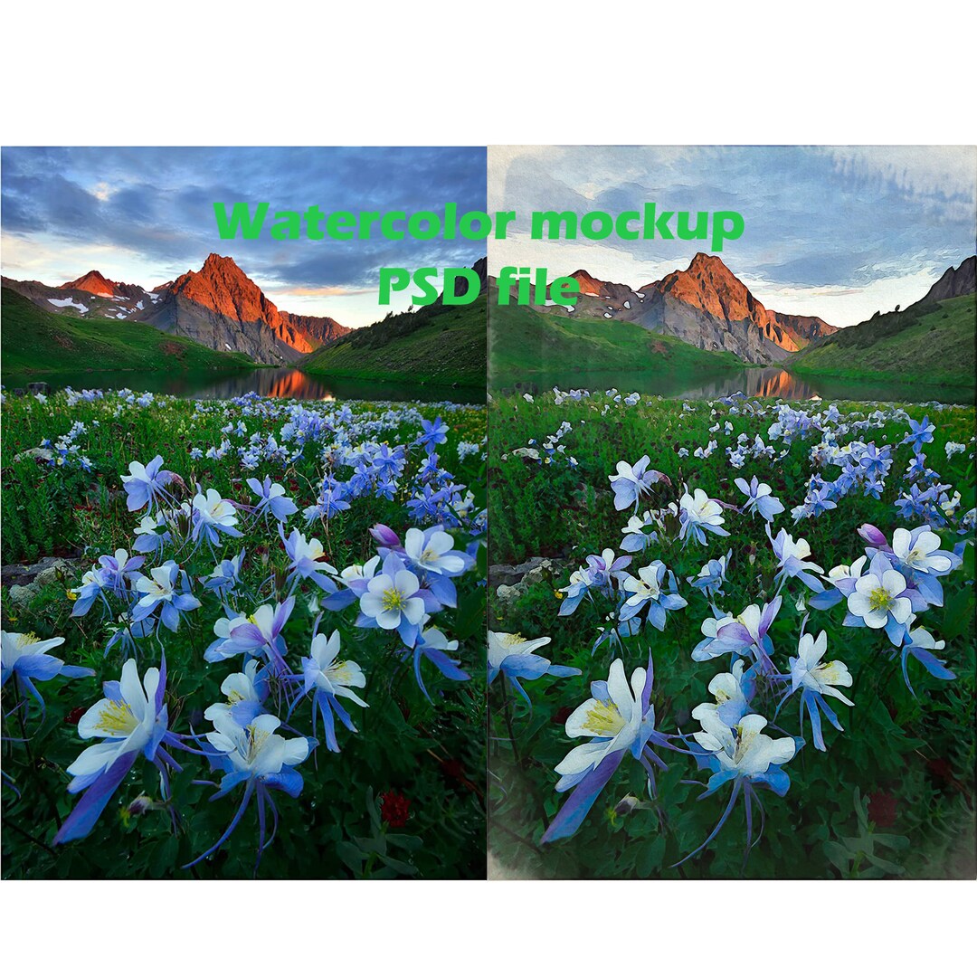 Watercolor Mockup Filter PSD File Digital Download Etsy