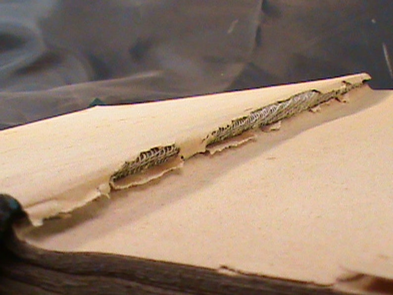 May include: Close-up of a book's spine with a torn section revealing the stitching that holds the pages together.