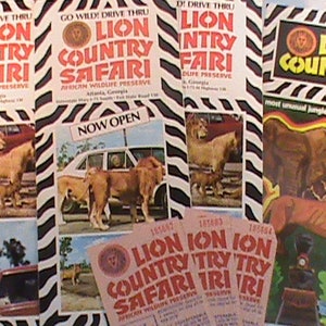 Vintage 1970s Lion Country Safari African Wildlife Preserve Brochures And Ticket Stubs